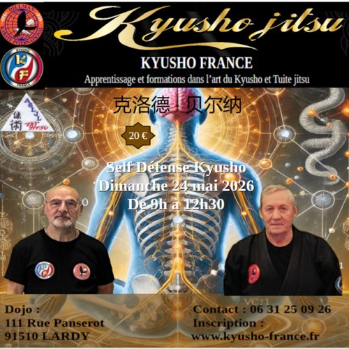 Stage découverte Kyusho DKI